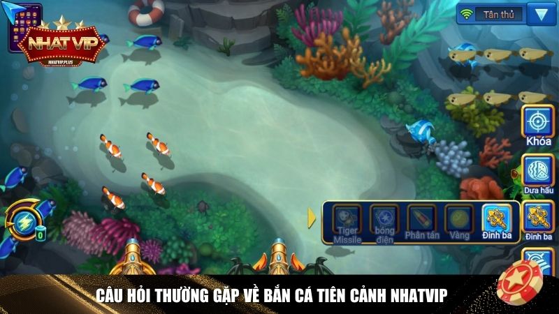 faqs ban ca tien canh Giải đáp FAQs về Bắn Cá Tiên Cảnh Nhatvip
