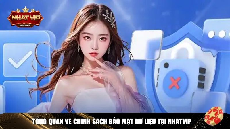 tong quan chinh sach bao mat Tổng quan chính sách bảo mật Nhatvip